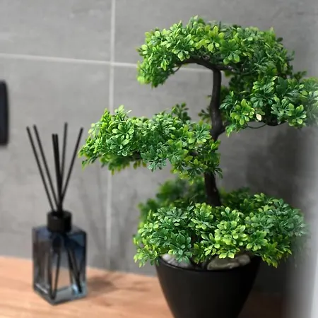 Aura Exclusive & Апартаменты