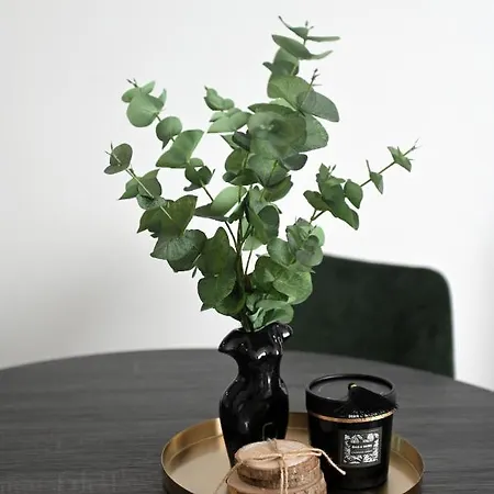 Апартаменты Aura Exclusive & Задар